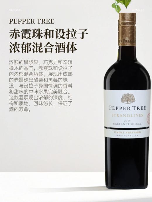 完税  澳大利亚酒  胡椒树单一园系列拉顿布里海岸线赤霞珠西拉干红葡萄酒2019 商品图1