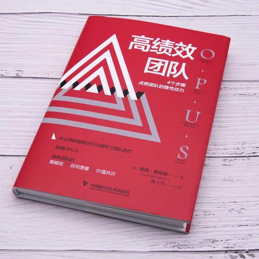 高绩效团队:4个步骤点燃团队的隐性动力（精装典藏版） 商品图2