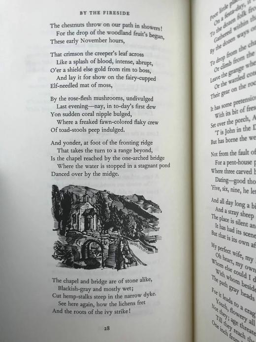 罗伯特·布朗宁诗集 配木版画插图 豪华皮装16开 商品图11