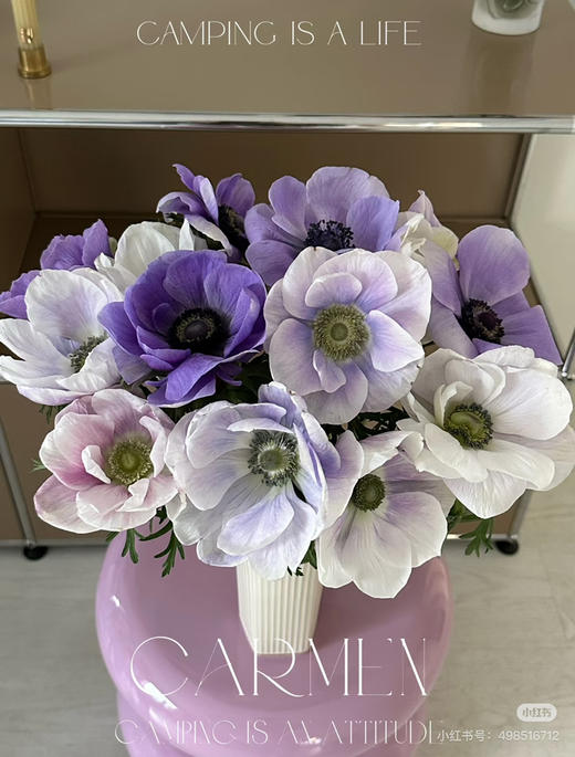 国产花材-【银莲花】紫白色 商品图0