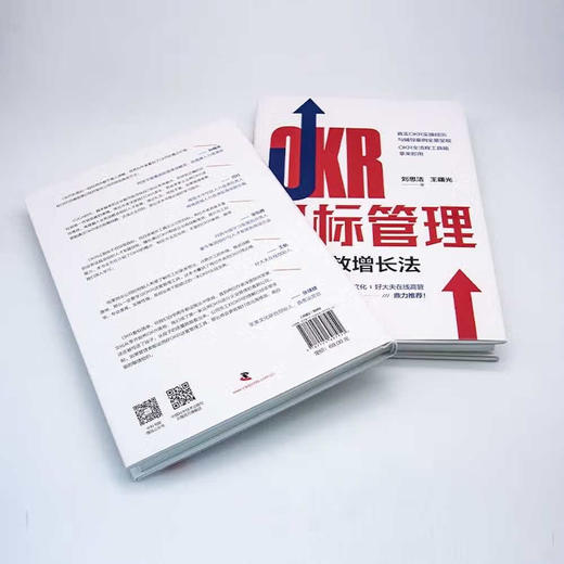 OKR目标管理：组织绩效增长法（精装典藏版） 商品图4
