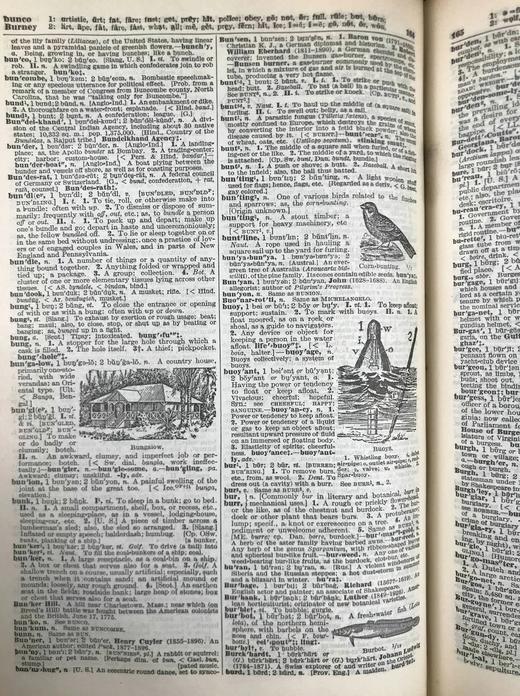 1928年 实用标准英语大词典 2500幅插图 全真皮精装16开 商品图13