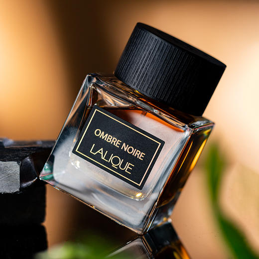 莱俪 黑色影子 Lalique Ombre Noire 分装【私底下烟酒都来？】 商品图1