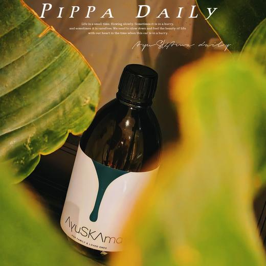 [屁侠.pippa]AyuSkAma 当归精露 植物饮料 500ml 商品图0