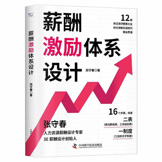 薪酬激励体系设计：手把手教你完成薪酬设计体系 商品图1