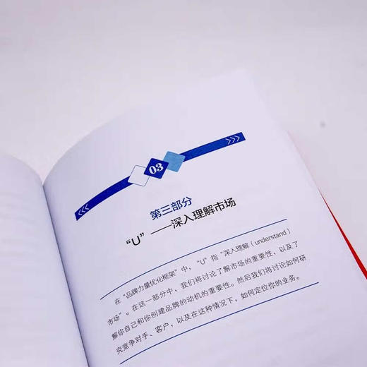 品牌力量：用品牌和知识产权策略抓住新商机（精装典藏版） 商品图3