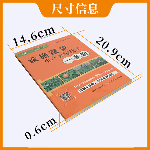 设施蔬菜生产关键技术一本通【官方正版，可开发票，下单时留开票信息和电子邮箱】 商品图3