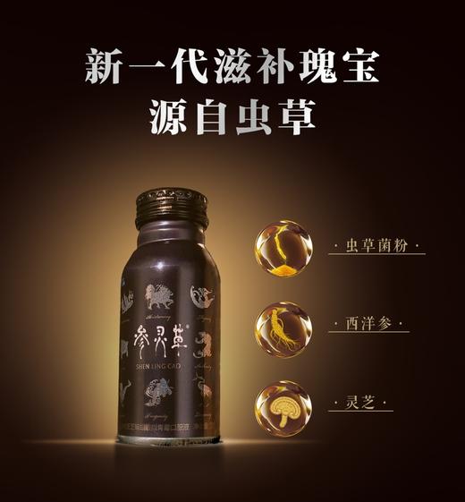 参灵草口服液冬虫夏草10瓶礼盒虫草菌粉液增强免疫力 商品图1