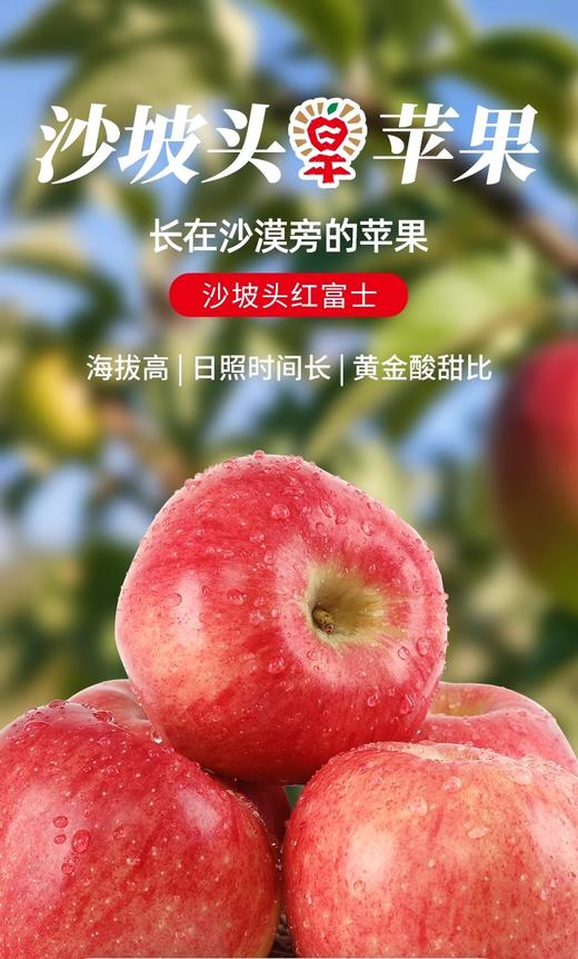 中卫沙坡头旱苹果 脆甜可口 商品图3