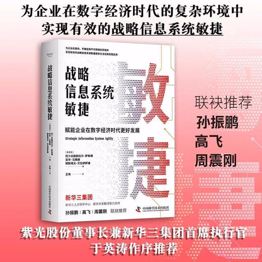 战略信息系统敏捷：赋能企业在数字经济时代更好发展（精装典藏版） 商品图0