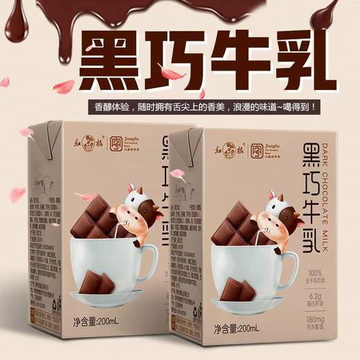 【红梅乳业】黑巧牛乳200ml*12 商品图1