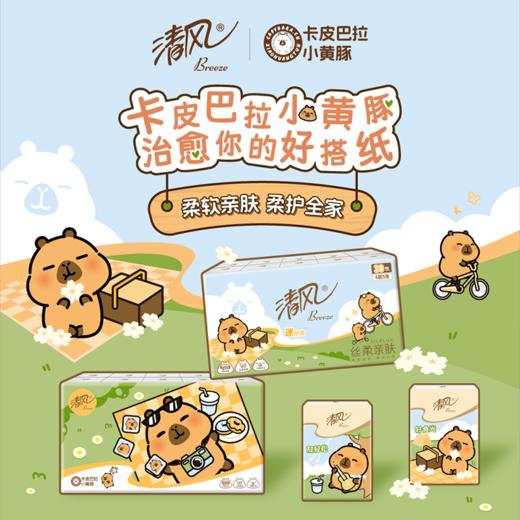 【官方自营】清风4层5张30包手帕纸卡皮巴拉小黄豚联名 商品图1