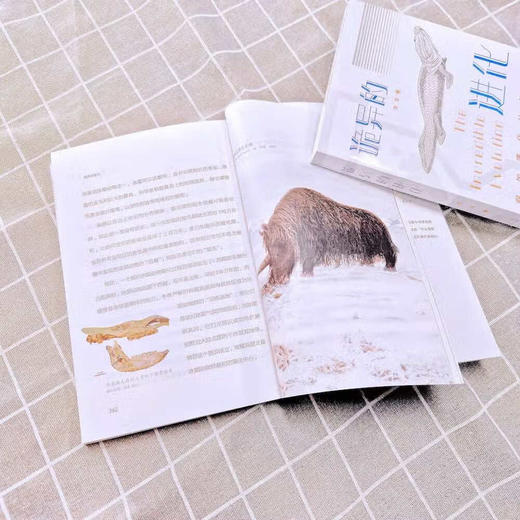 诡异的进化 商品图2