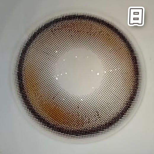 #快乐椰 棕 14.2mm 8.5基弧【10片装】国产精品 / 日抛 商品图1