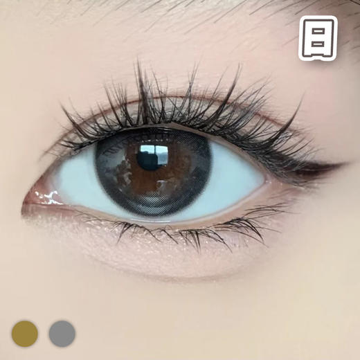 #自然水光 棕巧/灰黑 14.2mm【10片装】国产精品 / 日抛 商品图3