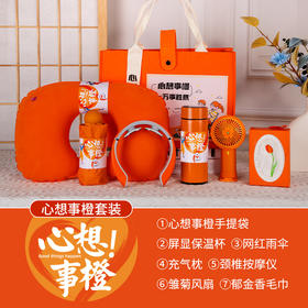 环球礼盒生日礼物高端实用【心想事橙套装】充气枕/伞/风扇/颈椎仪/郁金香毛巾/350ML温控杯六件套