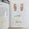 实用骨科影像学（中文翻译版，第7版） 商品缩略图10