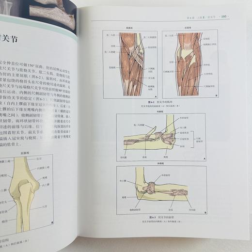 实用骨科影像学（中文翻译版，第7版） 商品图10