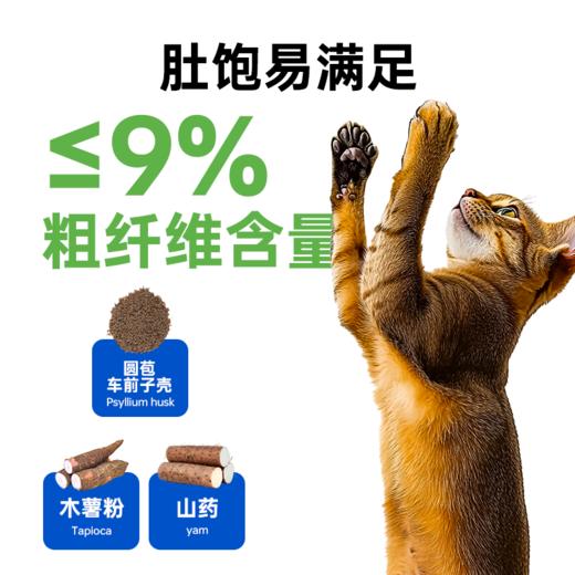 澳龙澳维康体控呵护全价猫粮1.2kg赠50g试吃 商品图3