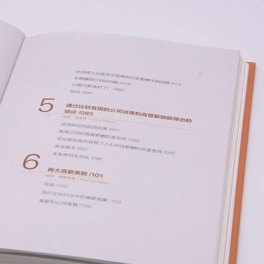 大狗与肥猫：现代社会的高薪现象 商品图5