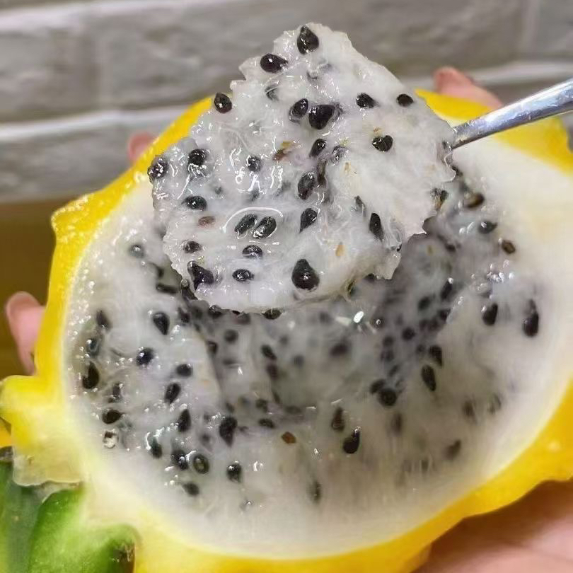 进口特级麒麟果 燕窝果 1箱5-6个 细腻水润，清冽爽口