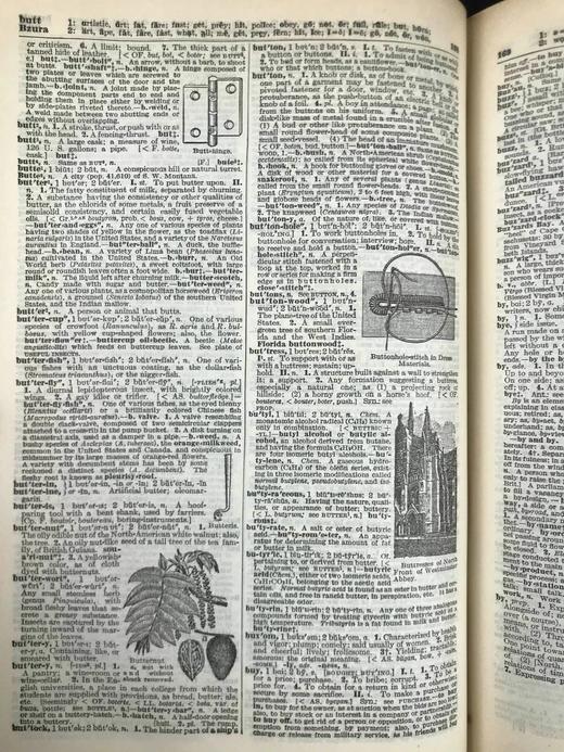 1928年 实用标准英语大词典 2500幅插图 全真皮精装16开 商品图12