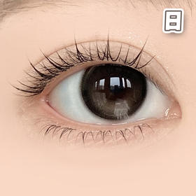 #黑湖珍珠 黑棕色 14.2mm 8.5基弧【10片装】国产精品 / 日抛