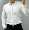 男士商务高端衬衫TPY1302 商品缩略图0