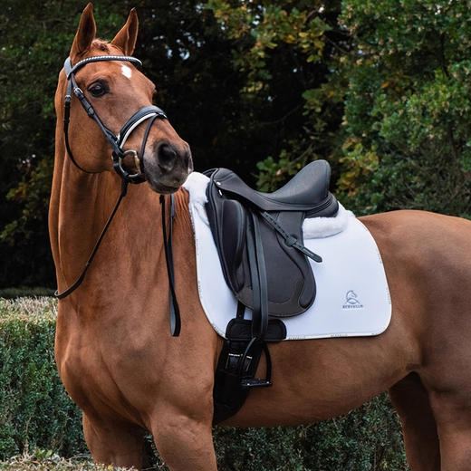 意大利 Acavallo 蒙塔纳舞步鞍骑马马术马术用品马鞍-AC9145 QS 商品图2