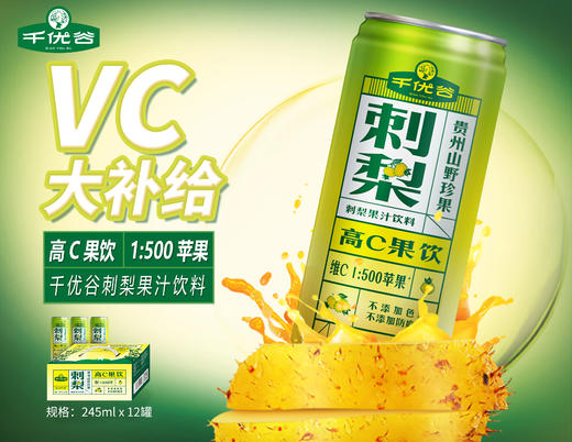 千优谷刺梨高C果汁饮料  245ML*12罐 商品图3