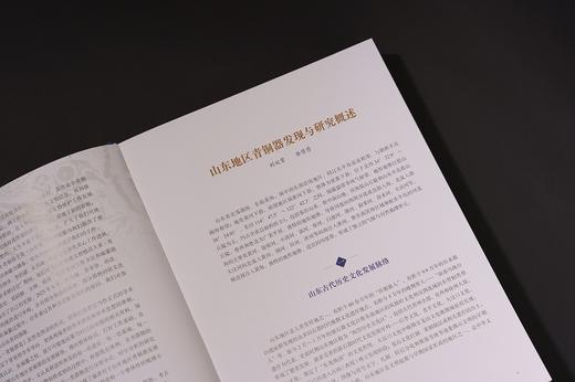 山东馆藏文物精品大系.青铜器卷：全6册 商品图6