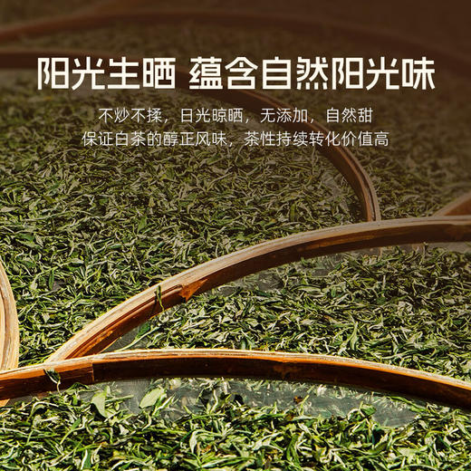 华祥苑茶叶 老白茶福鼎寿眉300g 3年陈饼茶礼盒装 商品图5