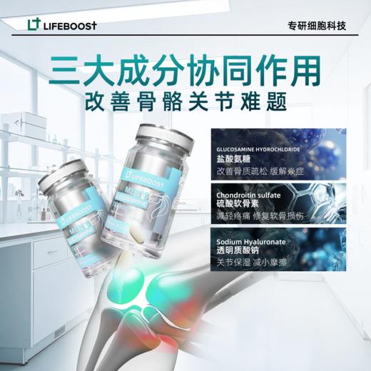 LifeBoost立丰活氨糖软骨素男性专研 新加坡进口关节焱锌硒透明质 商品图2