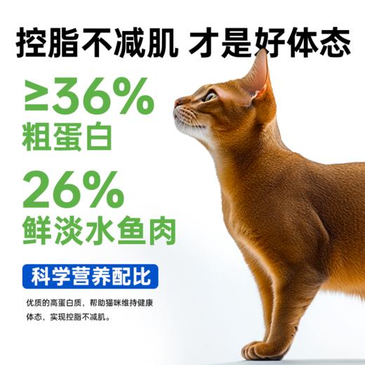 澳龙澳维康体控呵护全价猫粮1.2kg赠50g试吃 商品图2
