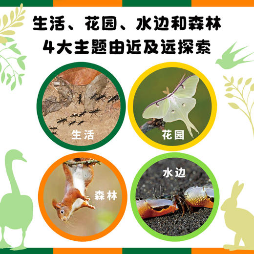 大自然，为什么？ 商品图4