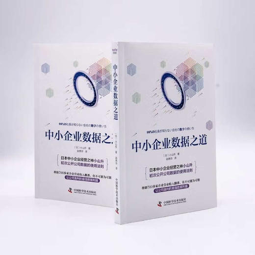 中小企业数据之道 商品图3