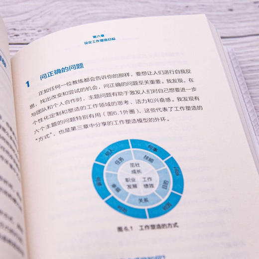 个性化工作：HR如何利用工作塑造来推动绩效、敬业度和幸福感 商品图5