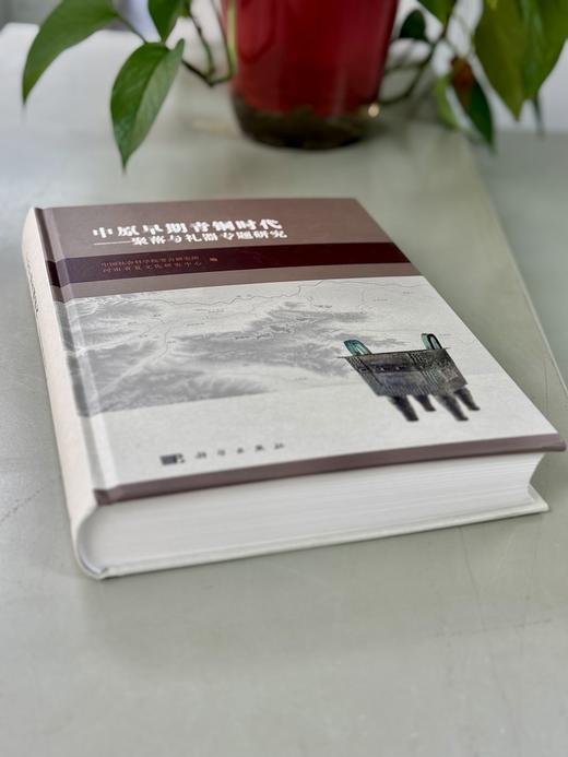 中原早期青铜时代——聚落与礼器专题研究 商品图4