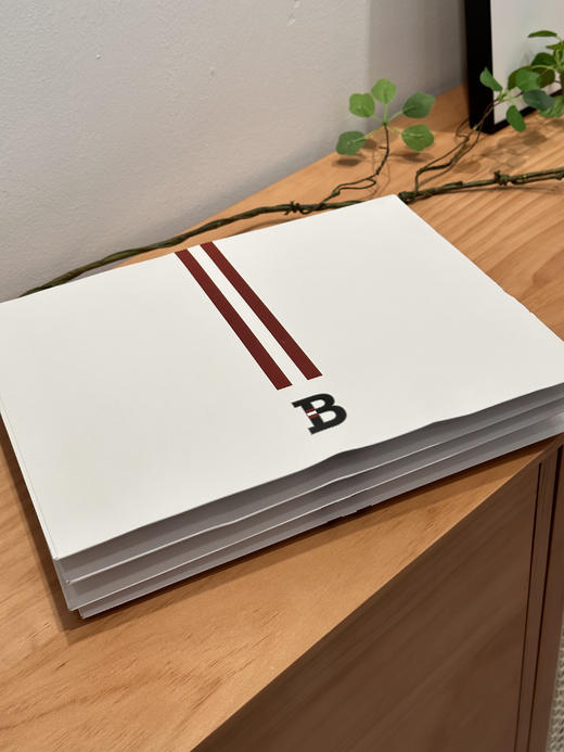 男士硬货Burbe*同款王一博同款高支棉T 商品图11