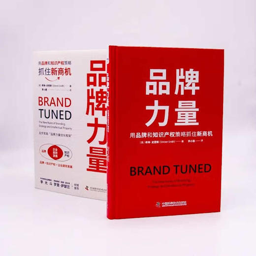 品牌力量：用品牌和知识产权策略抓住新商机（精装典藏版） 商品图2