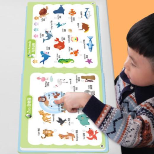 会说话的英语启蒙点读发声书 商品图6