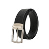 6941766314601115 沙驰satchi 【节日礼物】男式皮带头层牛皮不锈钢针扣腰带青年--1150mm 商品缩略图1