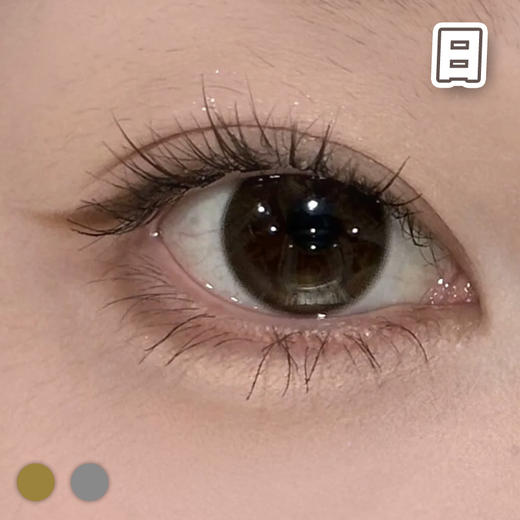 #自然水光 棕巧/灰黑 14.2mm【10片装】国产精品 / 日抛 商品图0