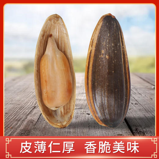 【薯都小镇·原味乌兰察布高原蒙葵瓜子礼盒】 258g*6罐 高原优选 当季新货 商品图2