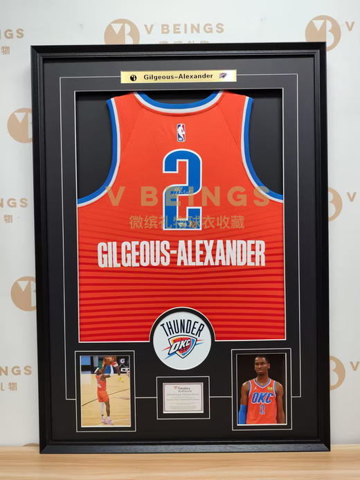 收藏系列 亚历山大 2号橙色 亲笔签名球衣 商品图1