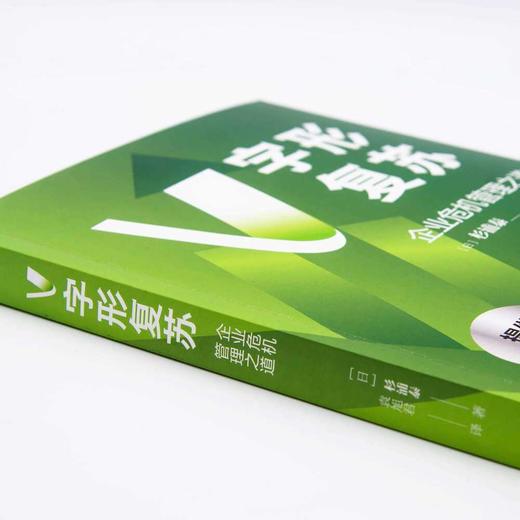 V字形复苏（企业危机管理之道） 商品图1