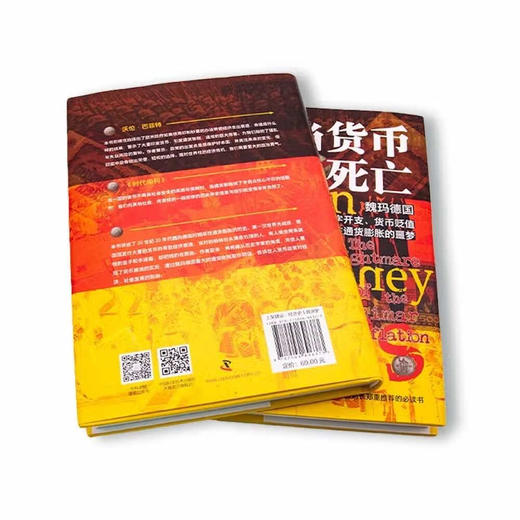 当货币死亡 : 魏玛德国赤字开支、货币贬值和恶性通货膨胀的噩梦（精装典藏版） 商品图4