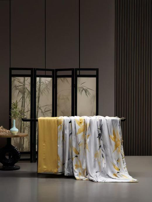 寐 Mine 天丝印花纯蚕丝纤柔被+四件套 商品图1