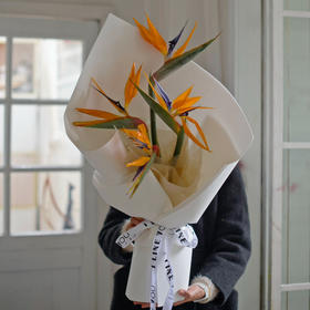 《展翅高飞》鹤望兰天堂鸟花束