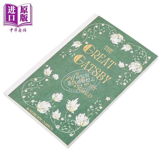 预售 【中商原版】了不起的盖茨比 英文原版 The Great Gatsby 菲茨杰拉德 经典美国文学 可另搭flipped追风筝的人 商品图8